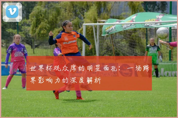 世界杯观众席的明星面孔:一场跨界影响力的深度解析
