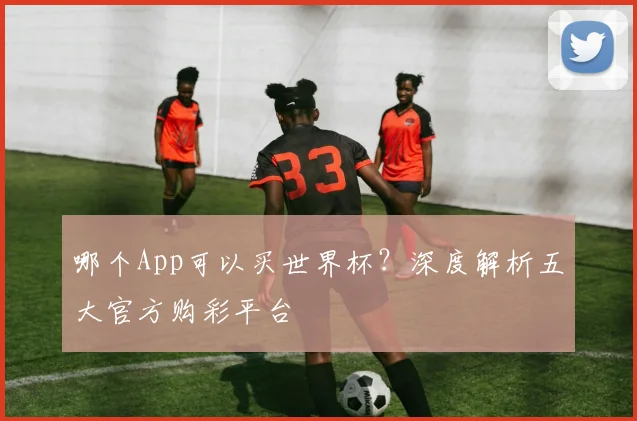 哪个App可以买世界杯?深度解析五大官方购彩平台