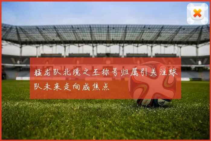 猛龙队北境之王称号归属引关注球队未来走向成焦点