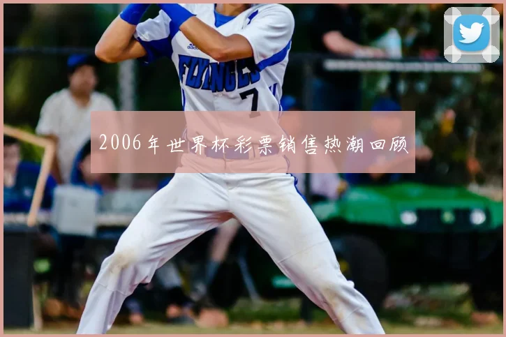 2006年世界杯彩票销售热潮回顾