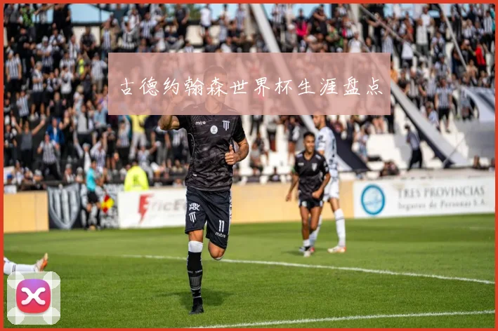 古德约翰森世界杯生涯盘点