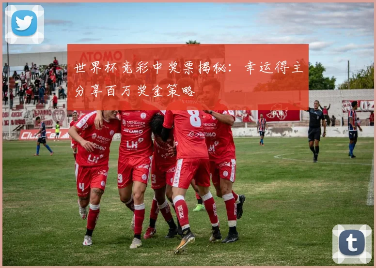 世界杯竞彩中奖票揭秘:幸运得主分享百万奖金策略