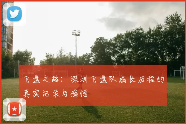 飞盘之路：深圳飞盘队成长历程的真实记录与感悟