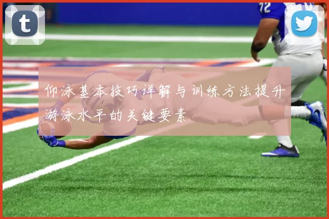 仰泳基本技巧详解与训练方法提升游泳水平的关键要素