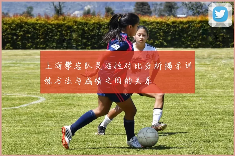 上海攀岩队灵活性对比分析揭示训练方法与成绩之间的关系