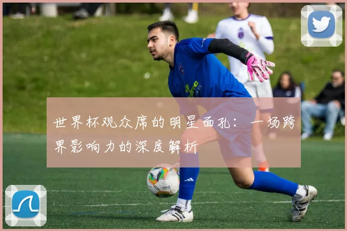 世界杯观众席的明星面孔：一场跨界影响力的深度解析