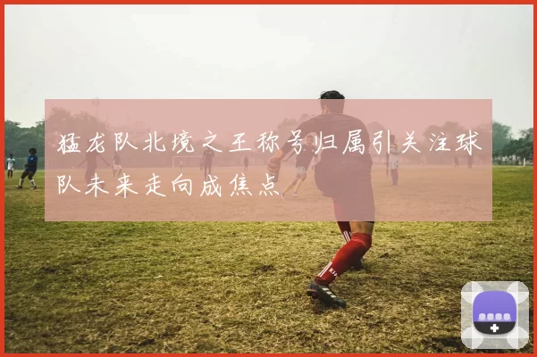 猛龙队北境之王称号归属引关注球队未来走向成焦点