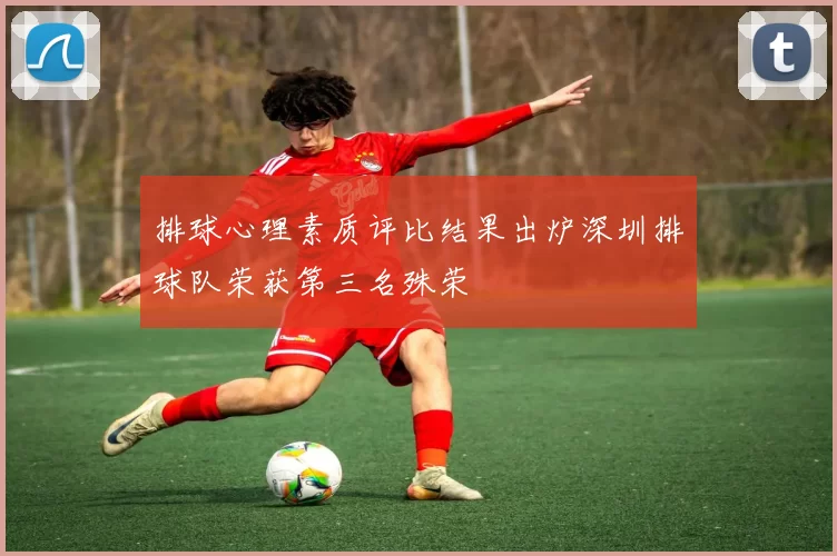 排球心理素质评比结果出炉深圳排球队荣获第三名殊荣