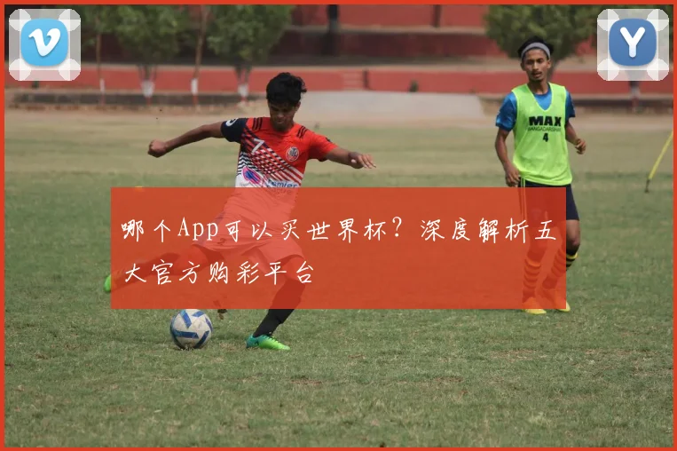 哪个App可以买世界杯？深度解析五大官方购彩平台