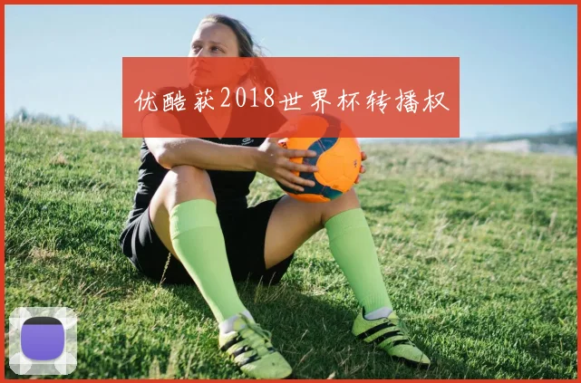 优酷获2018世界杯转播权