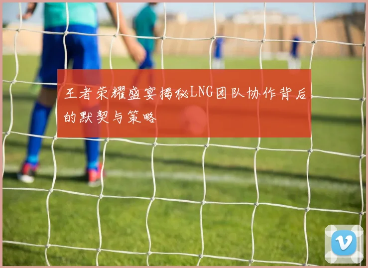 王者荣耀盛宴揭秘LNG团队协作背后的默契与策略